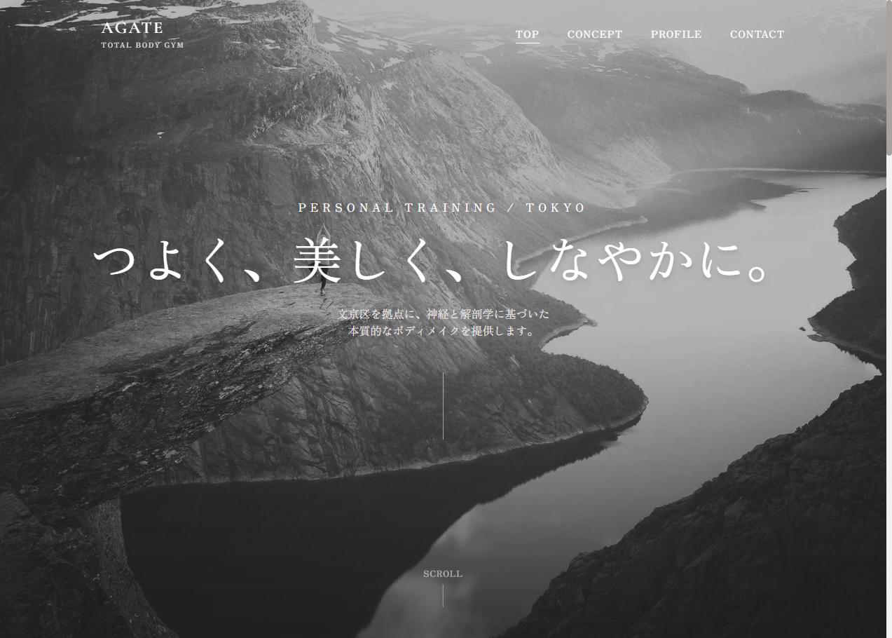 AGATE Total Body Gym